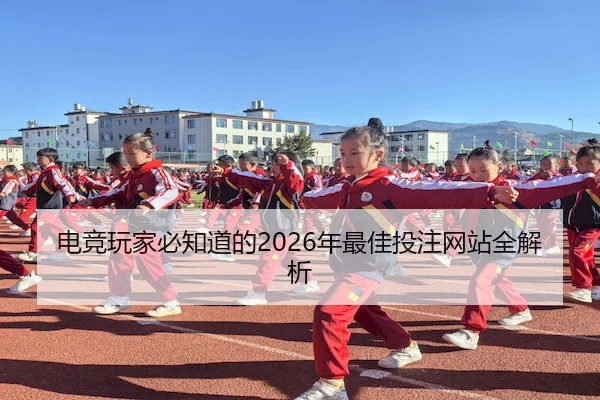 电竞玩家必知道的2026年最佳投注网站全解析